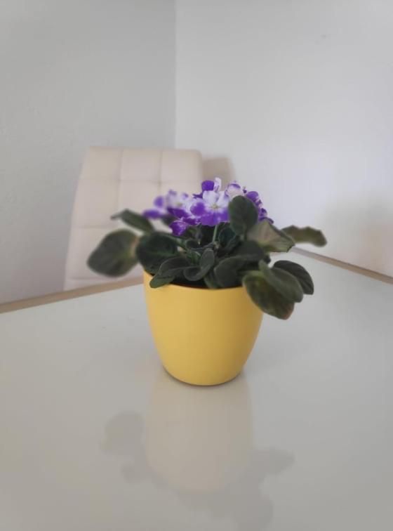 Apartmani Lucica Jezera Dış mekan fotoğraf
